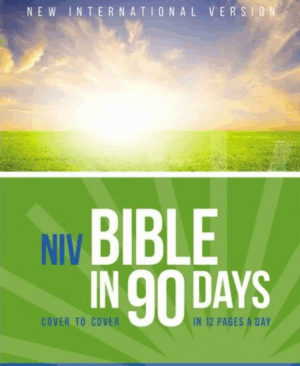 90 Day Bible - NIV