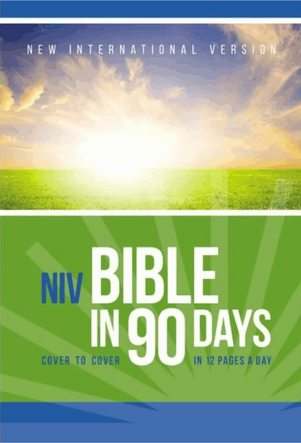 90 Day Bible - NIV
